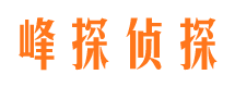 隆子捉小三公司